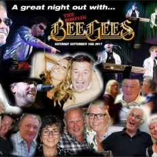 Bee Gees Collage II